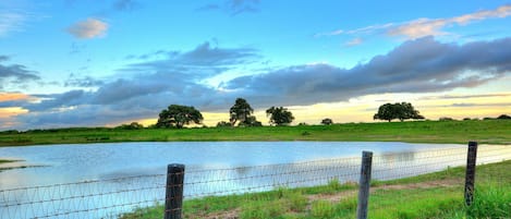 Pasture view after a big rain