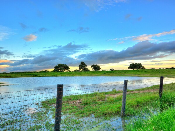 Pasture view after a big rain