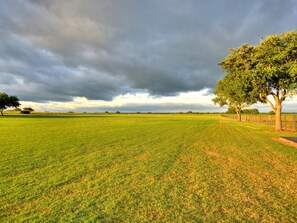 Field view