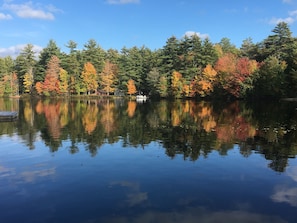 Fall foliage from house