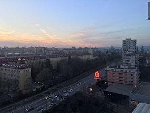 Panoramic view to city center over the roofs 