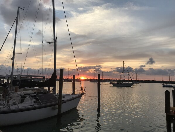 Marina