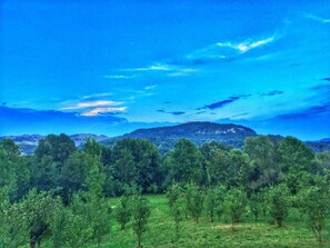 Oklassificerad bild, 3 av 17, knapp
