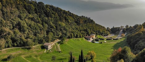 Parco della struttura