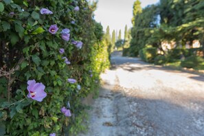 Parco della struttura