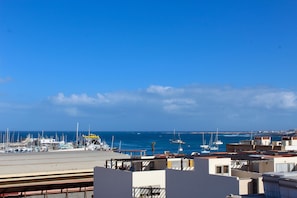 Beach/ocean view