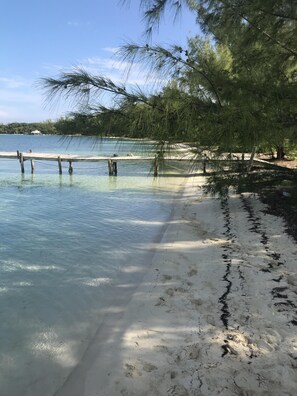 Feed the turtles at Coco Bay
