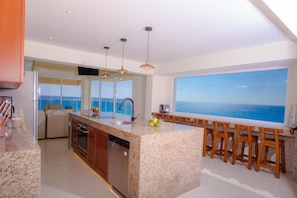Brand new kitchen with granite countertops, huge new window, all new appliances.