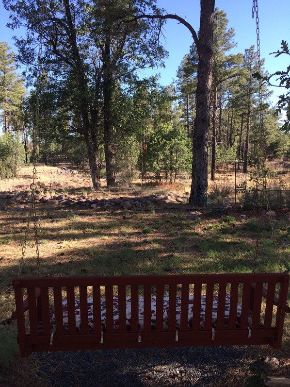 backyard looking toward national forest