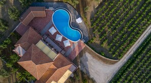 Villa Anastasia - The villa and the vineyard - Aerial view