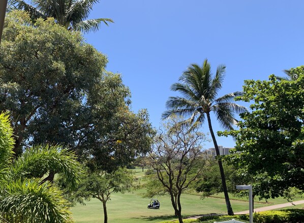 Golf Course View from Lanai [Balcony]