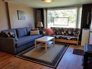 Living room w new super comfortable futon on left
