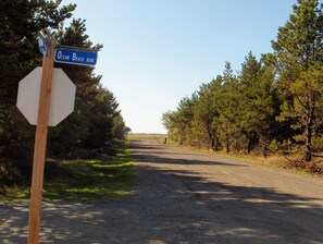 the view out the front of the house which is your path to the boardwalk