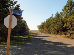 the view out the front of the house which is your path to the boardwalk