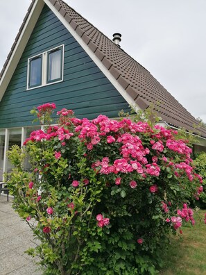Boendeområde