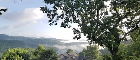 Early morning from the open air deck.