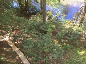 Walkway to the Private Dock