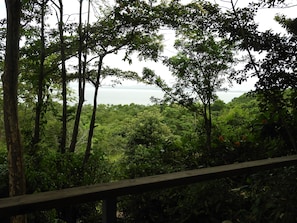Ocean and jungle view from your deck