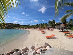 Our beach. Great snorkeling and lots of tropical fish! 