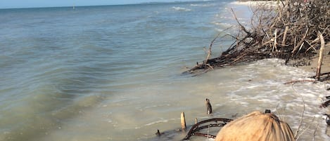 Vista para praia/oceano