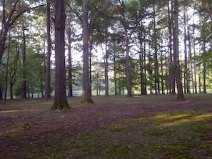 View of our back yard from the porch (front lake  visible in the distance)