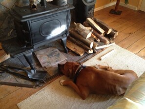 Cooper relaxing by the Wood Stove.  Cooper does not come with rental