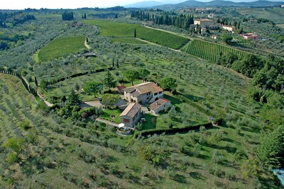 RELAX BETWEEN OLIVES AND WINEYARDS NEAR FLORENCE