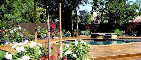 Beautiful back yard and outdoor pool and spa.  Come and enjoy! :)