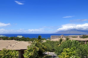 Beach/ocean view