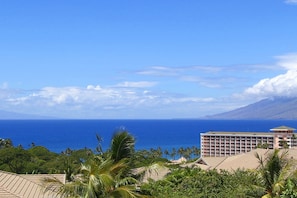 Beach/ocean view