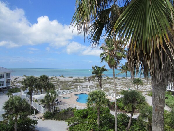Gulf View and Pool View at Beach House Rental - Stunning view of the Gulf of Mexico and pool area from a beach house rental, surrounded by lush palm trees and pristine sandy beaches.
