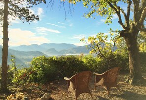 vue panoramique sur le Mont Ventoux