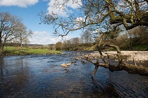 View of the river Ure from behind The Bothy