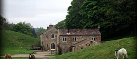 Stunning views across the dales and to the river