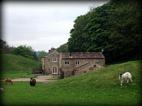Stunning views across the dales and to the river