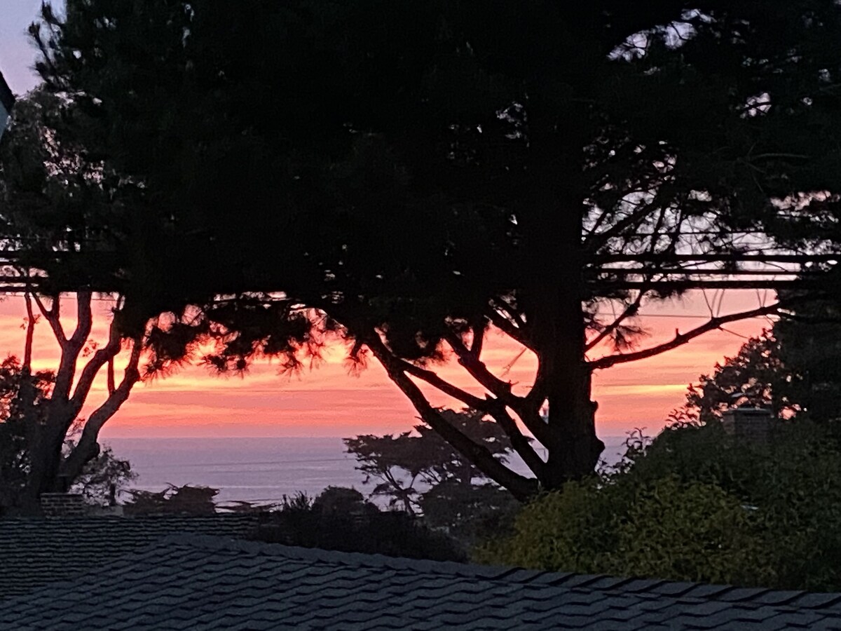 Carmel’s Golden Rectangle. Ocean views, walk to the beach and town in minutes.