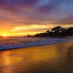 Beach