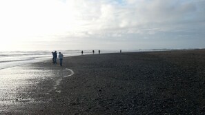 Another  walk on the  beach