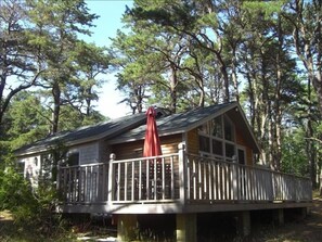 Back deck and entrance to kitchen