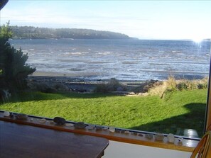 Spectacular bird life visible from dining window