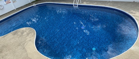 Private sparkling pool with propane barbecue overlooking lush land and the lake