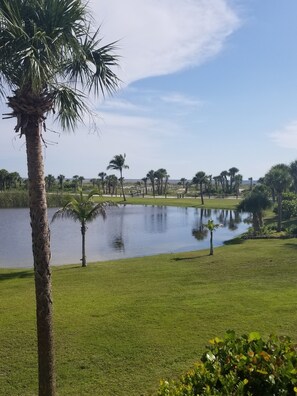 Gulf view from the Lanai
