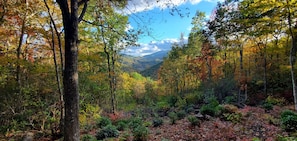Lost in the beauty of full autumn leaves, enjoy Running Squirrel Ridge