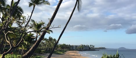 Charley Young / 
Kamaole I Beach