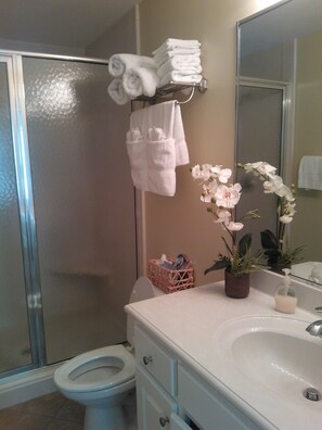 master bathroom