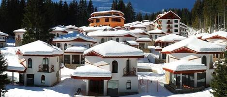 Ski Chalets at Pamporovo Village. It really seems like Narnia