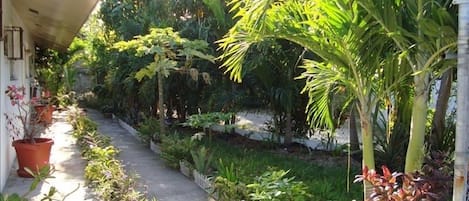 Lovely Gardens Outside the Apartment