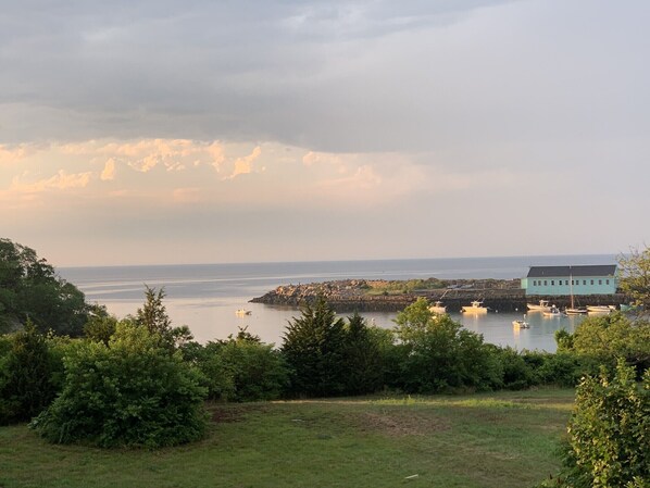 Oklassificerad bild, 1 av 35, knapp