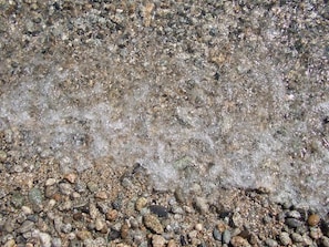 Unclassified image, 5 of 23, button