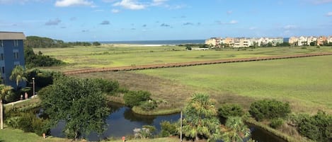 View from Balcony